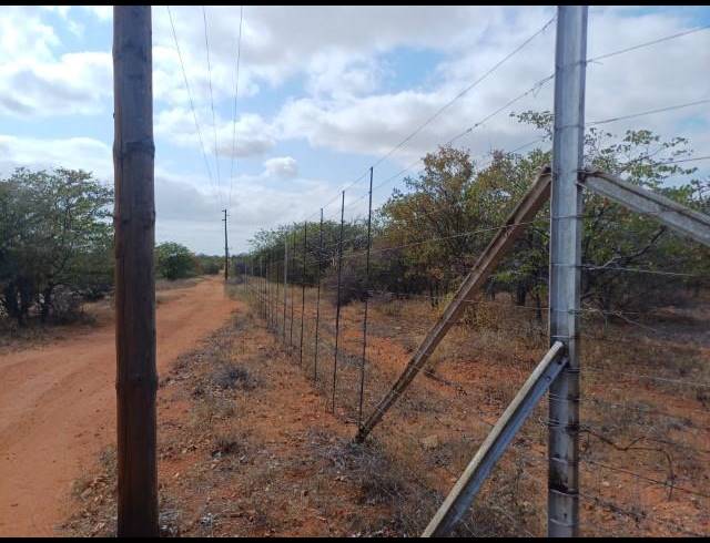 FARM FOR SALE IN MUSINA